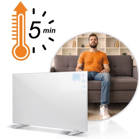 Grzejnik na podczerwień promiennik 600 W Berdsen BD-981 pilot WiFi aplikacja Grzejnik na podczerwień promiennik 600 W Berdsen BD-981 pilot WiFi aplikacja